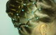 Princess For A Day Hairstyles - thumb 4
