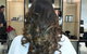 Indulge Studio - thumb 0