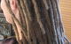 Dreadlock Braids Shop And Salon - thumb 2