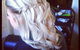 Hair By Jessica Leanne - thumb 4