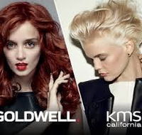 B Tempted Hair amp Beauty - Hairdresser Find