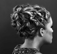 Bohemian Ladybird - Hairdresser Find