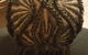 RAVM'S HAIR - thumb 7
