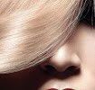 Le Piaf Hair Salon - Hairdresser Find