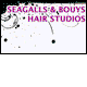 Seagalls & Bouys Hair Studios - Hairdresser Find 0