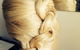Hair At Home. - thumb 4