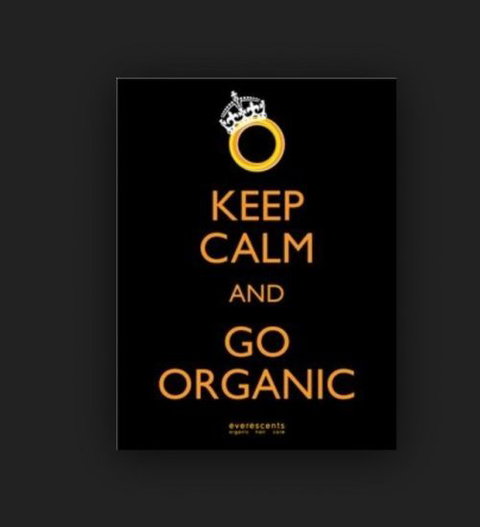Philosophy Organic Hair Studio - Hairdresser Find 5