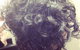 Amanda Curmi Hair - thumb 2