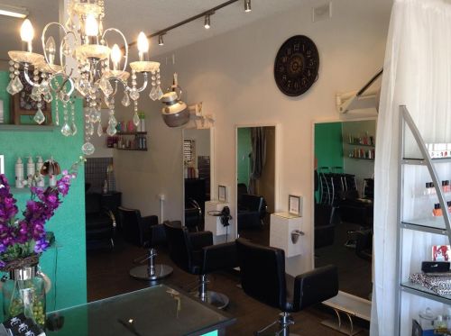 Mint Hair Plympton