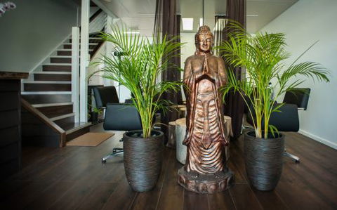Amara Organic Hair Salon - Hairdresser Find 1