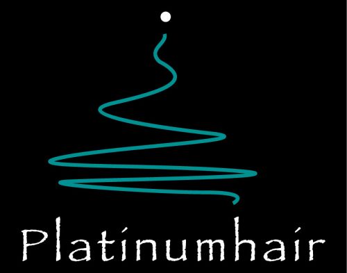 Platinumhair amp Makeup Penrith
