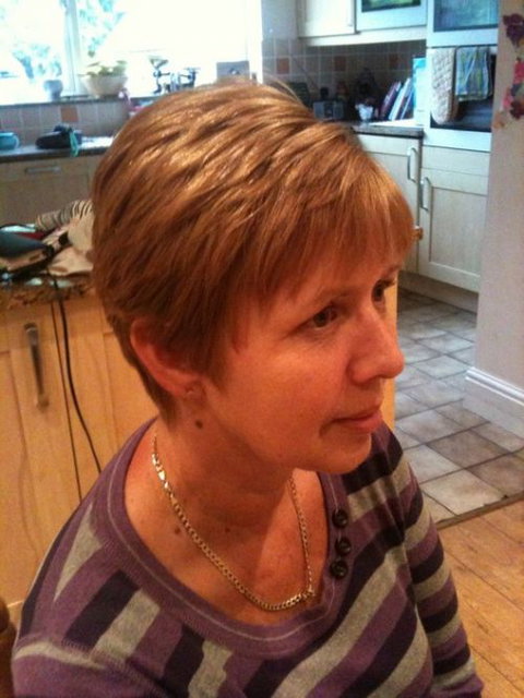 English Rose Mobile Hair Design - Hairdresser Find 6