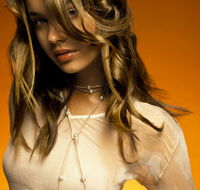 Wild About Hair - Hairdresser Find