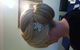 L'amour Hair - thumb 7