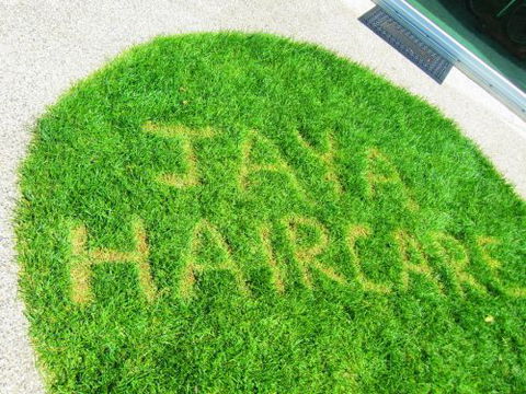 Jaya Haircare Mobile Hairdressing - Hairdresser Find 3