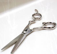 Shiro Shears - Hairdresser Find