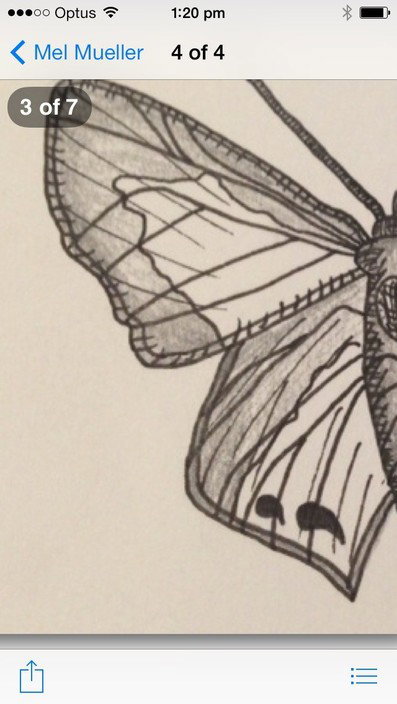 Copper Butterfly Hair Salon - Hairdresser Find 3