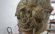 Gecko Hair - thumb 4