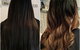 Harlow Hair Bar - thumb 3