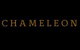 Chameleon Hair Extensions - thumb 3