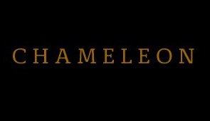 Chameleon Hair Extensions - Hairdresser Find 3