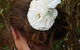 Indulgence Hair Beauty Makeup - thumb 8