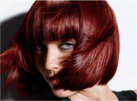 Hair Phoria - Hairdresser Find 8
