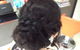 Snippets By Janine - thumb 0