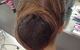 Snippets By Janine - thumb 1