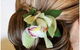 Manly Creative Hair & Beauty - thumb 10