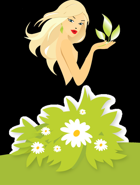 Hair La Natural Surfers Paradise - Hairdresser Find 4